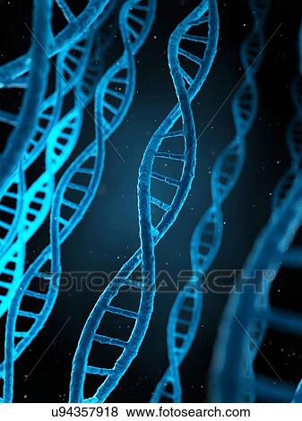 Stock Illustration - Human DNA, illustration. Fotosearch