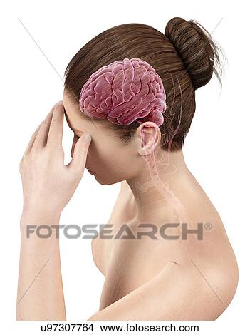 Stock Illustration - Human headache, illustration. Fotosearch