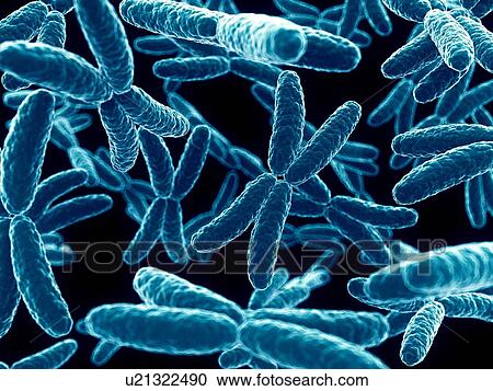 Clipart - Human x chromosomes, illustration. Fotosearch