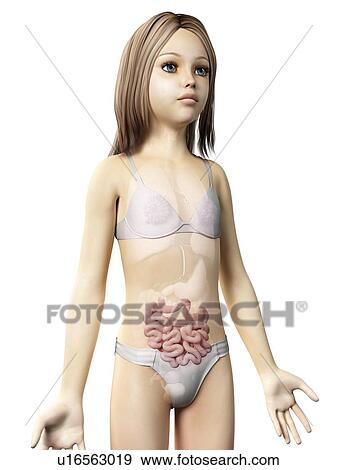 Intestine of girl, illustration View Large Illustration Stock Illustration - Intestine of girl, illustration. Fotosearch