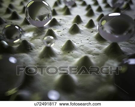Lotus flower surface, illustration View Large Illustration Stock Illustration - Lotus flower surface, illustration. Fotosearch