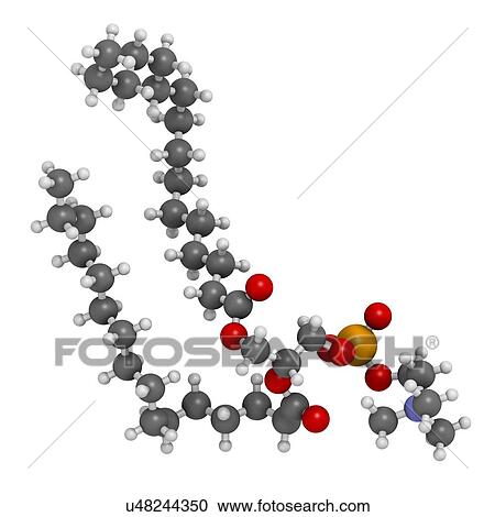 Clipart - Pulmonary surfactant molecule. Fotosearch