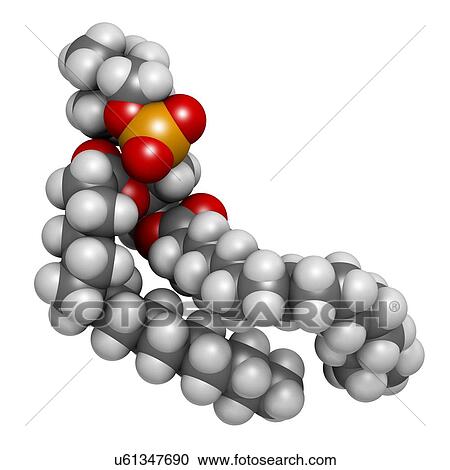Clipart - Pulmonary surfactant molecule. Fotosearch