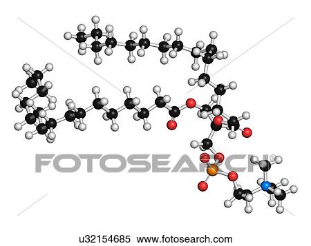 Stock Illustration - Pulmonary surfactant molecule. Fotosearch