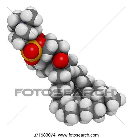 Pulmonary surfactant molecule View Large Illustration Stock Illustration - Pulmonary surfactant molecule. Fotosearch