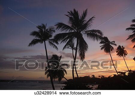 Tropical sunset View Large Photo Image Picture - Tropical sunset. Fotosearch