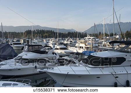 Boats at marina, Coal Harbour, Vancouver, British Columbia, Canada View Large Photo Image Stock Image - Boats at marina, Coal Harbour, Vancouver, British Columbia, Canada. Fotosearch