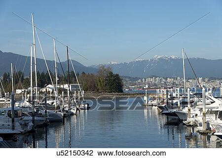Boats at marina, Coal Harbour, Vancouver, British Columbia, Canada View Large Photo Image Stock Image - Boats at marina, Coal Harbour, Vancouver, British Columbia, Canada. Fotosearch