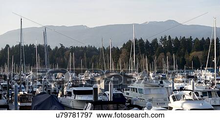 Stock Photo - Boats at marina, Coal Harbour, Vancouver, British Columbia, Canada. Fotosearch