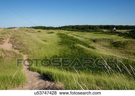 Stock Photo - Cavendish Dunelands Trail, Green Gables, Prince Edward Island, Canada. Fotosearch