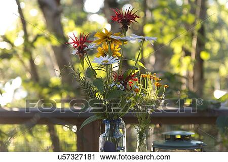 Close-up of flowers in a vase, Lake of The Woods, Ontario, Canada View Large Photo Image Stock Image - Close-up of flowers in a vase, Lake of The Woods, Ontario, Canada. Fotosearch