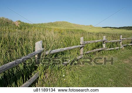 Fence along Cavendish Dunelands Trail, Green Gables, Prince Edward Island, Canada View Large Photo Image Picture - Fence along Cavendish Dunelands Trail, Green Gables, Prince Edward Island, Canada. Fotosearch