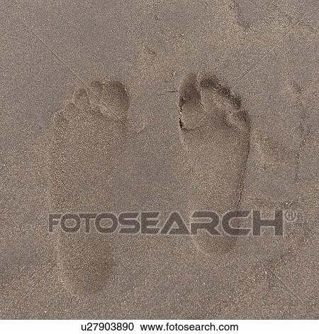 Footprints on the beach, Victoria Provincial Park, Prince Edward Island, Canada View Large Photo Image Stock Image - Footprints on the beach, Victoria Provincial Park, Prince Edward Island, Canada. Fotosearch