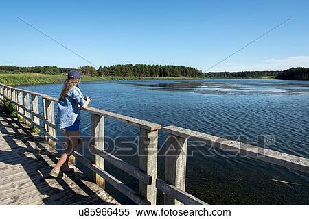 Girl standing on wooden bridge at Cavendish Dunelands Trail, Green Gables, Prince Edward Island, Canada View Large Photo Image Stock Photography - Girl standing on wooden bridge at Cavendish Dunelands Trail, Green Gables, Prince Edward Island, Canada. Fotosearch