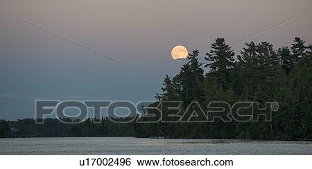 Moon over trees, Lake of The Woods, Ontario, Canada View Large Photo Image Stock Photograph - Moon over trees, Lake of The Woods, Ontario, Canada. Fotosearch