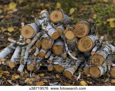 Pile of firewood, Lake of The Woods, Ontario, Canada View Large Photo Image Stock Photograph - Pile of firewood, Lake of The Woods, Ontario, Canada. Fotosearch
