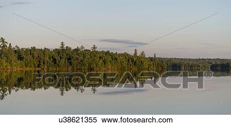 Stock Photography - Reflection of trees on water, Lake of The Woods, Ontario, Canada. Fotosearch