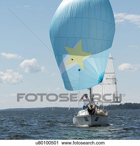 Sailboat in a lake, Lake of The Woods, Kenora, Lake of The Woods, Ontario, Canada View Large Photo Image Stock Image - Sailboat in a lake, Lake of The Woods, Kenora, Lake of The Woods, Ontario, Canada. Fotosearch
