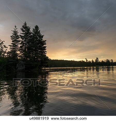 Stock Photo - Silhouette of trees at sunset, Lake of The Woods, Ontario, Canada. Fotosearch