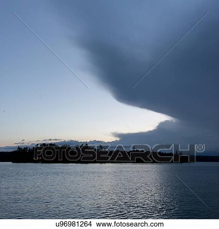 Picture - Silhouette of trees at the lakeside at dusk, Lake of The Woods, Ontario, Canada. Fotosearch