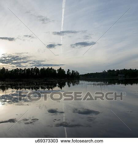 Silhouette of trees at the lakeside, Lake of The Woods, Ontario, Canada View Large Photo Image Stock Image - Silhouette of trees at the lakeside, Lake of The Woods, Ontario, Canada. Fotosearch