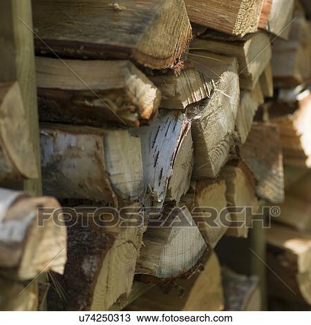 Stock Image - Stack of firewood, Lake of The Woods, Ontario, Canada. Fotosearch