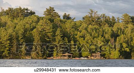 Stock Image - Trees along shoreline, Lake of The Woods, Ontario, Canada. Fotosearch