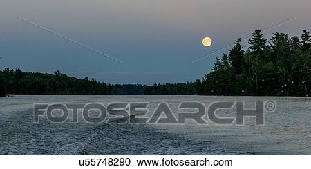 Stock Image - Trees at the lakeside at dawn, Lake of The Woods, Ontario, Canada. Fotosearch