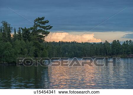 Trees at the lakeside at dusk, Lake of The Woods, Ontario, Canada View Large Photo Image Stock Image - Trees at the lakeside at dusk, Lake of The Woods, Ontario, Canada. Fotosearch