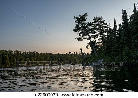 Stock Photo - Trees at the lakeside, Kenora, Lake of The Woods, Ontario, Canada. Fotosearch