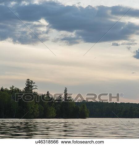 Stock Photograph - Trees at the lakeside, Lake of The Woods, Ontario, Canada. Fotosearch