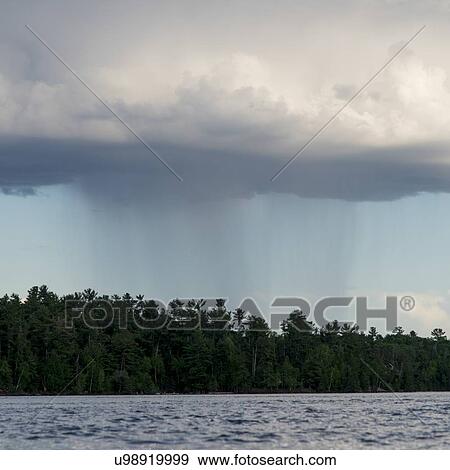 Trees at the lakeside with a rain cloud in the sky, Lake of The Woods, Ontario, Canada View Large Photo Image Stock Photo - Trees at the lakeside with a rain cloud in the sky, Lake of The Woods, Ontario, Canada. Fotosearch