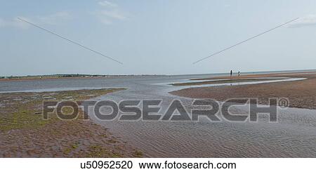View of a beach, Victoria, Prince Edward Island, Canada View Large Photo Image Stock Image - View of a beach, Victoria, Prince Edward Island, Canada. Fotosearch