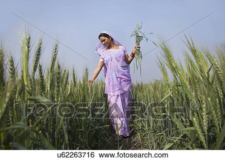Stock Photograph - An Indian female farm worker walking through wheat field . Fotosearch