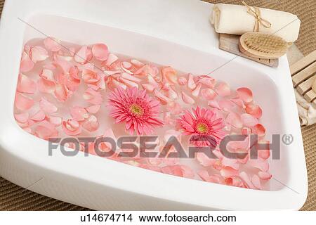 Picture - Bowl with gerbera flowers and petals . Fotosearch
