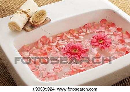 Picture - Bowl with gerbera flowers and petals . Fotosearch