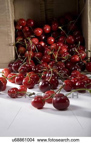 Bunch of cherries View Large Photo Image Picture - Bunch of cherries . Fotosearch