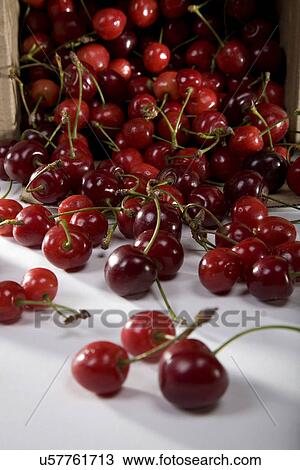 Stock Image - Bunch of cherries . Fotosearch