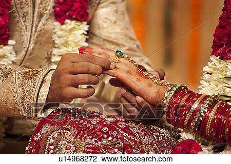 Close-up of a groom putting a wedding ring on a bride View Large Photo Image Stock Image - Close-up of a groom putting a wedding ring on a bride . Fotosearch