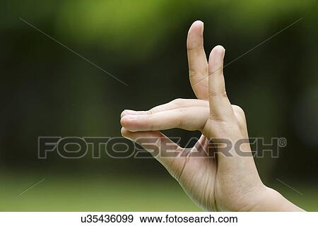 Close-up of woman's hand in yoga gesture View Large Photo Image Stock Photo - Close-up of woman's hand in yoga gesture . Fotosearch