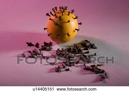 Stock Image - Cloves pinned on an orange . Fotosearch