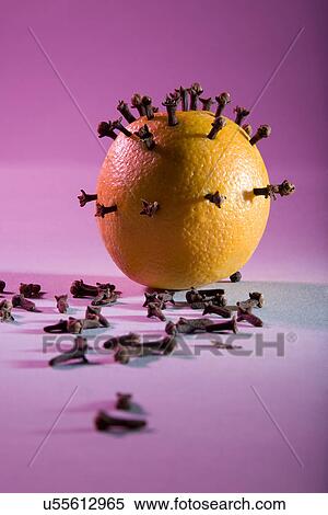 Cloves pinned on an orange View Large Photo Image Stock Photography - Cloves pinned on an orange . Fotosearch