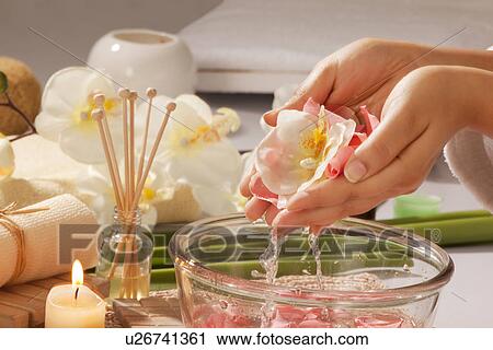Stock Image - Cupped hands with rose petals and orchid . Fotosearch