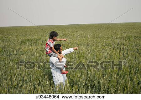 Picture - Father and son pointing at something while standing in wheat field . Fotosearch