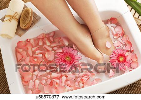 Stock Photo - Foot bath in bowl with flower petals . Fotosearch
