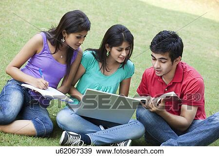 Stock Photo - Group of students studying while sitting in lawn . Fotosearch