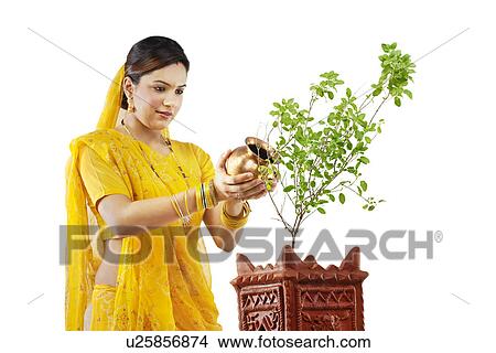 Picture - Gujarati woman making an offering . Fotosearch
