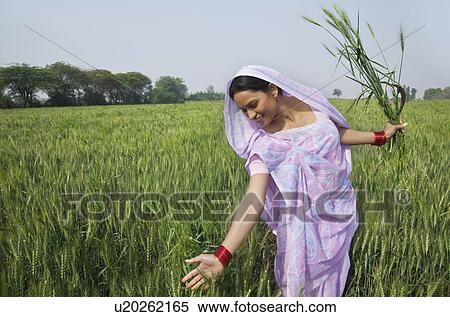 Happy Indian female farm worker gliding through wheat field View Large Photo Image Stock Photography - Happy Indian female farm worker gliding through wheat field . Fotosearch