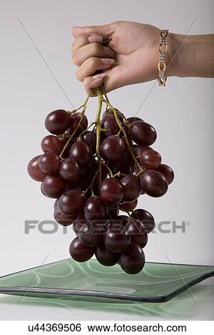 Holding grapes View Large Photo Image Stock Photograph - Holding grapes . Fotosearch