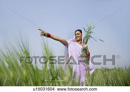 Picture - Low angle view of happy Indian female farm worker pointing at something . Fotosearch